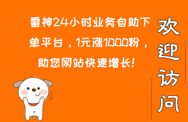 雷神24小时秒单业务平台，1元涨1000粉，助您网站快速增长！