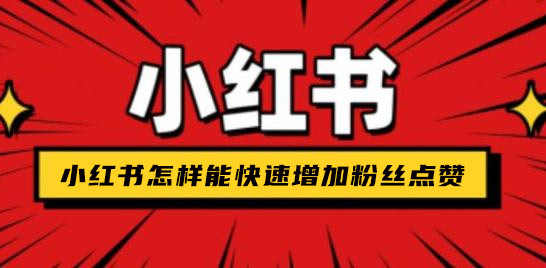 小红书怎样能快速增加粉丝点赞  小红书涨粉 互联网创业 小熊代刷网 小红书引流 第1张