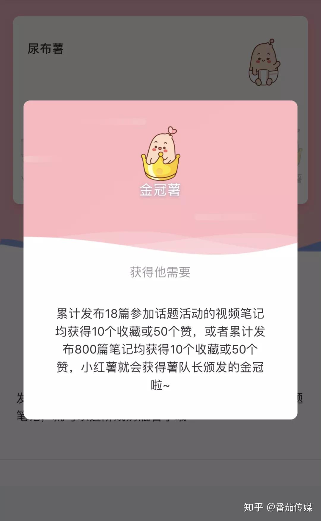 小红书官方客服电话_小红书怎么开店_小红书