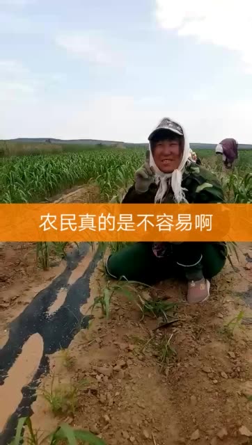 直播快手好做还是抖音好做_快手直播_怎么直播快手