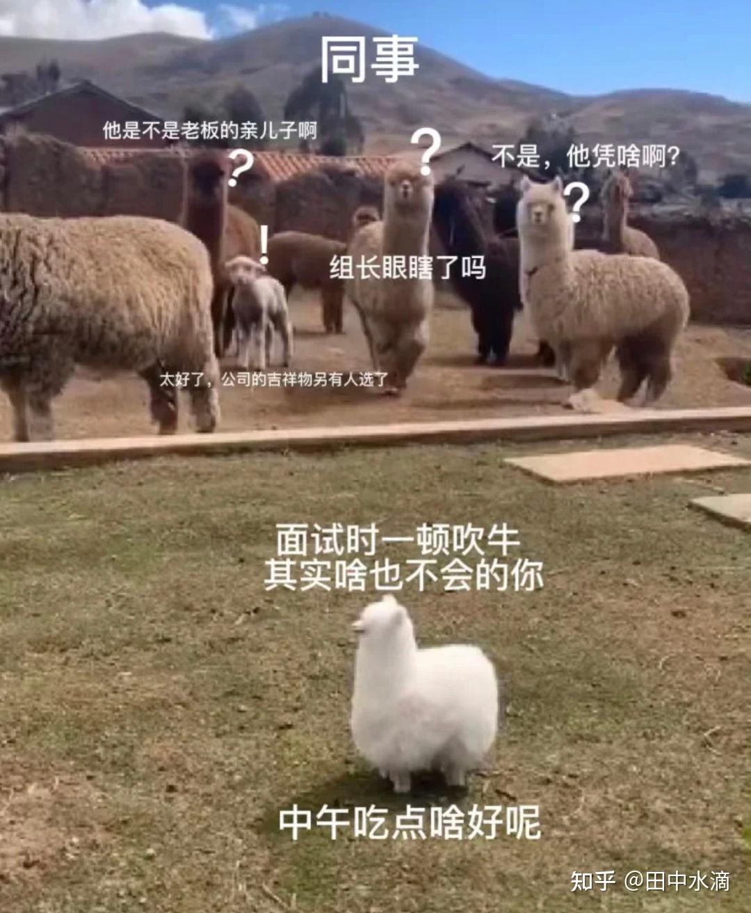 抖音直播间关闭小雪花的方法及小雪花的作用解析