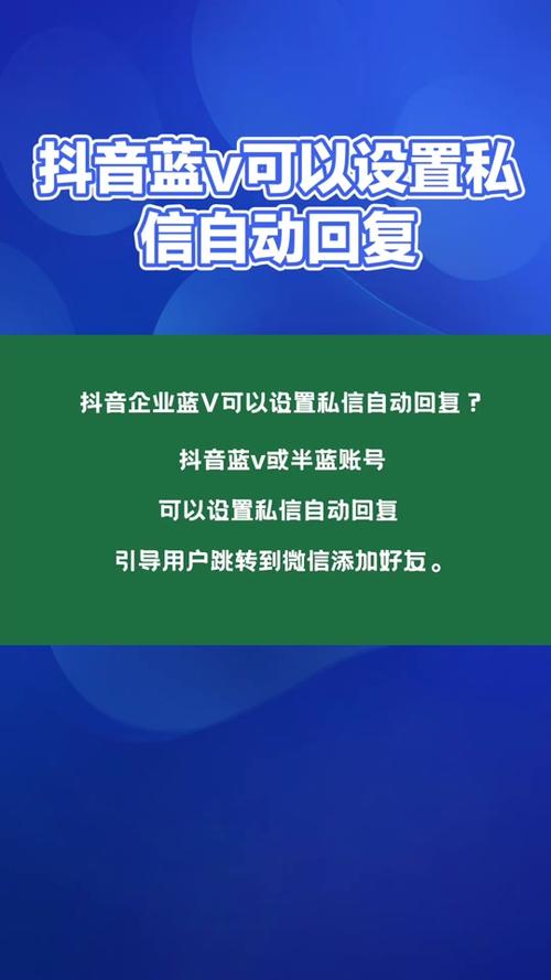 成年碟片播放播放_播放_播放器