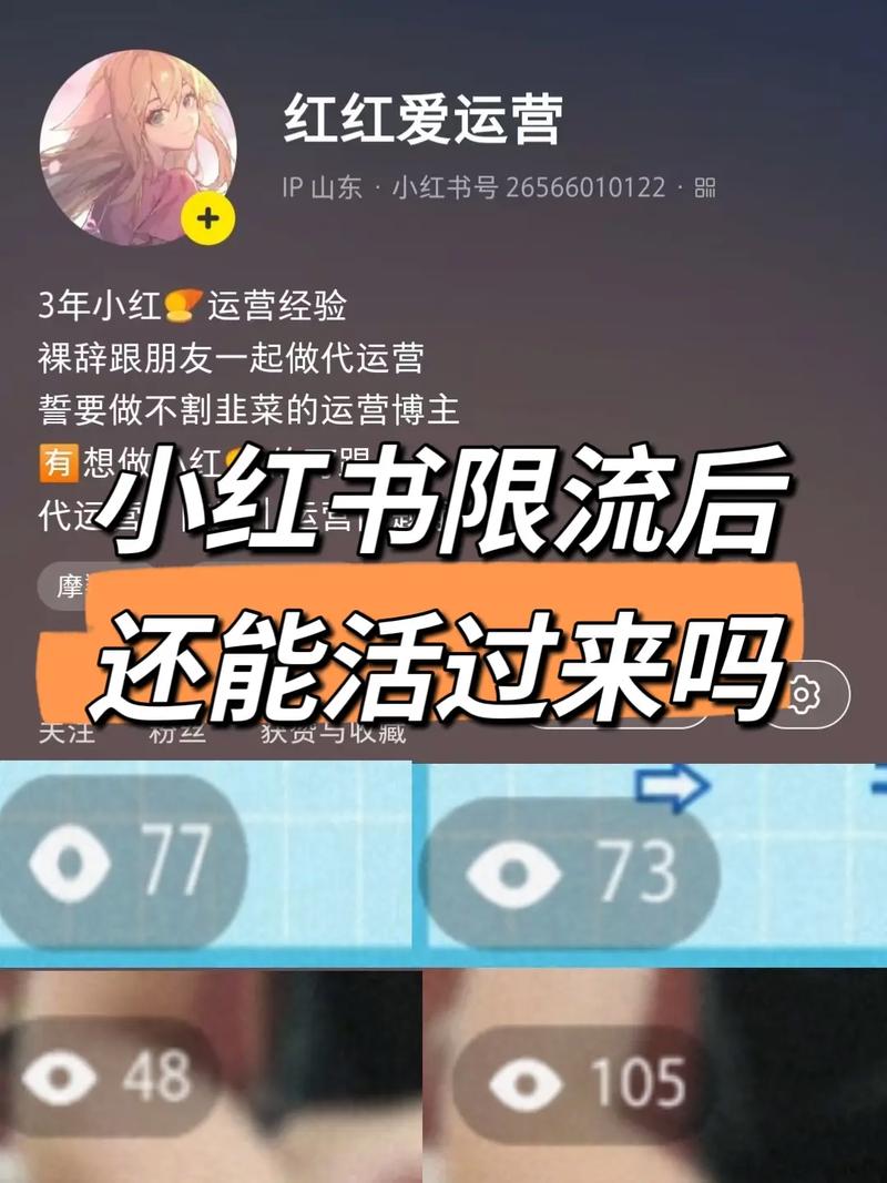 提高小红书活跃度技巧_小红书点赞_小红书限流应对策略