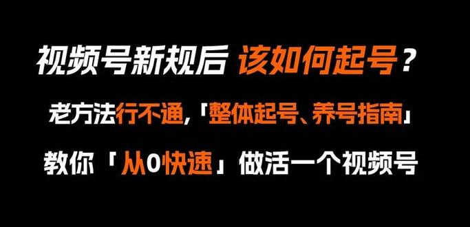 视频号平台运营策略_视频号_视频号养号技巧