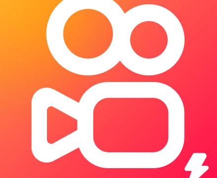 快手_快手直播伴侣粉丝要求_快手直播伴侣闪电购条件