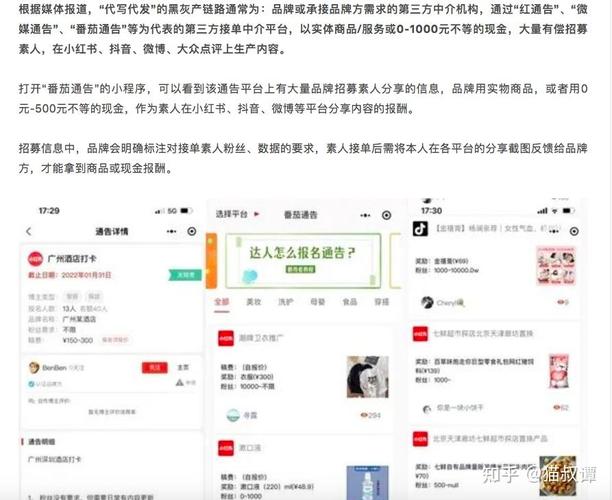 短视频买粉刷赞平台_粉丝_小红书购买粉丝风险