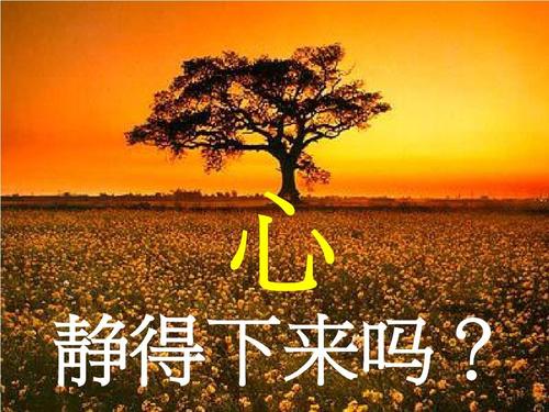 播放 播放一段轻松人生，糊涂一点快乐更多