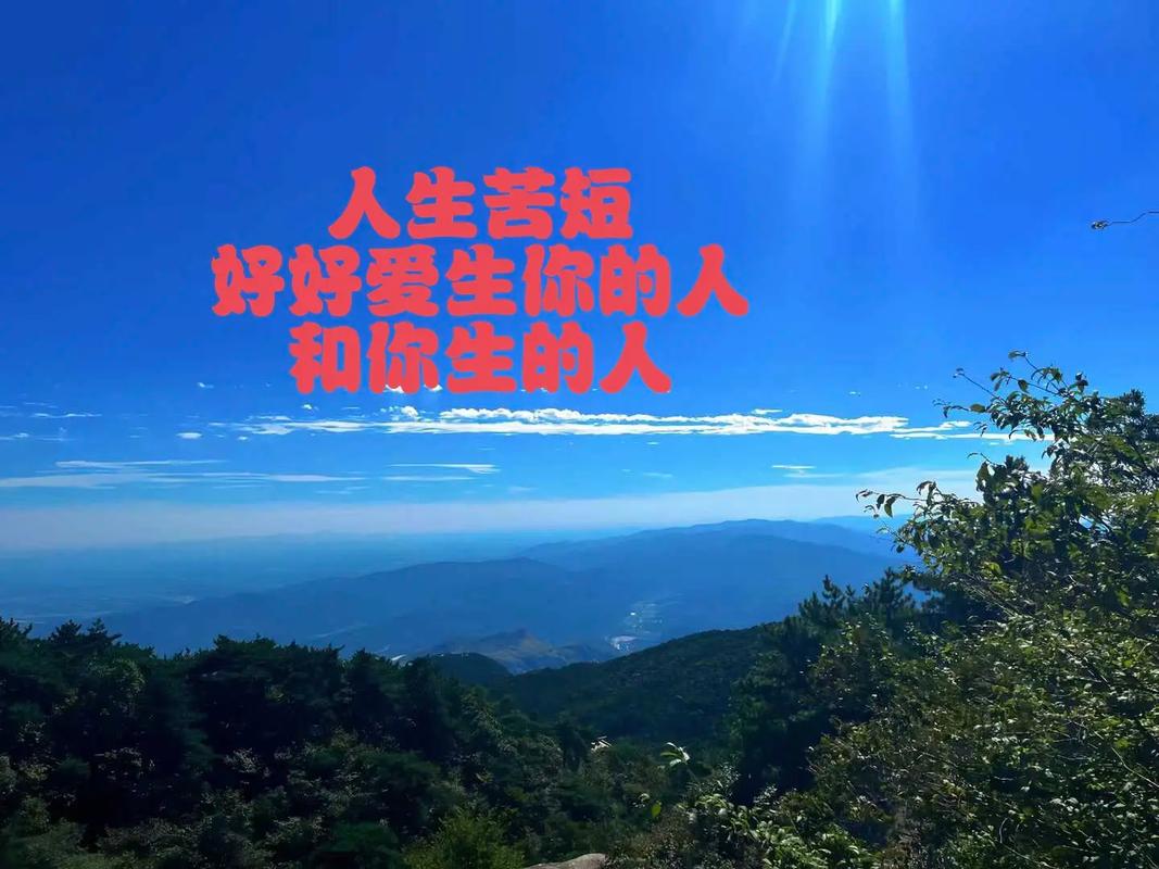 阅读情感婚恋故事，从他人经历中领悟人生之道