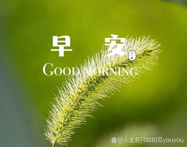 播放 累了不放弃，难了不认输，创业再难也要播放坚持