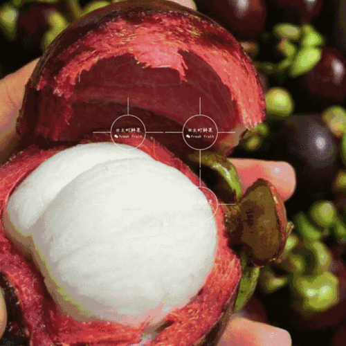 小红书蒲公英报价修改方法_小红书蒲公英改价教程_小红书点赞