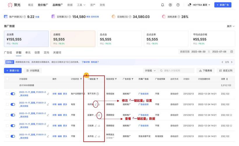 小红书_高复购率低运营成本创业项目_AI命理测算私域流量运营