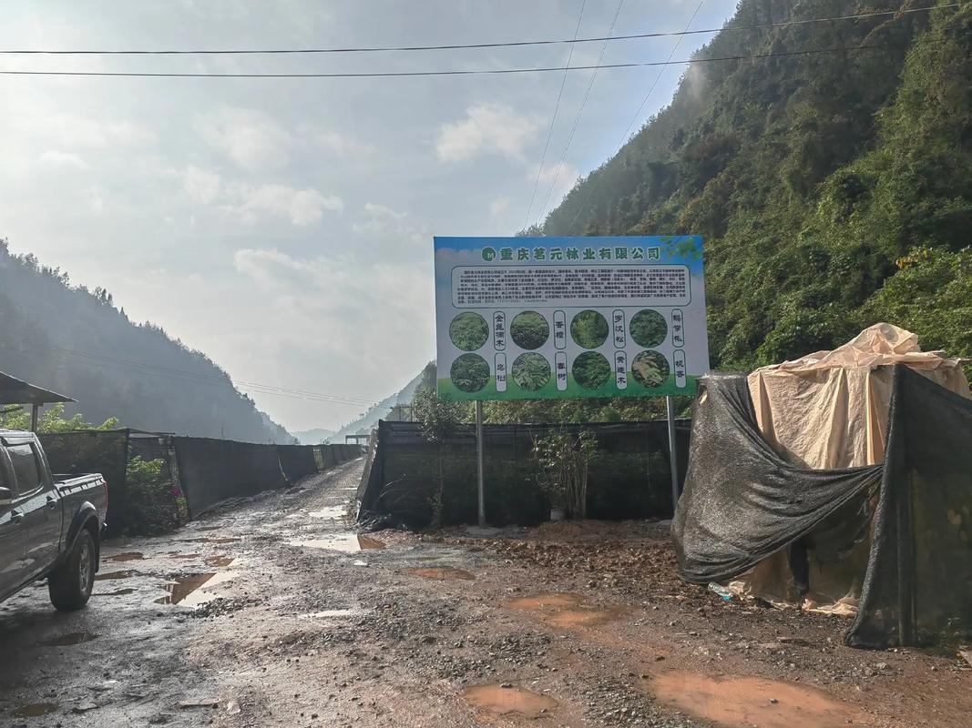 抖音上爆火的矿山修复，普通人如何稳扎稳打逆袭？