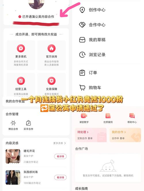 小红书蒲公英提现攻略，从开通到审核的详细操作步骤