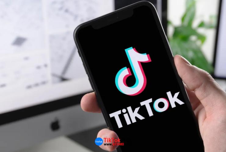 抖音 国内用户用不了TikTok咋整?网站有专门使用方法