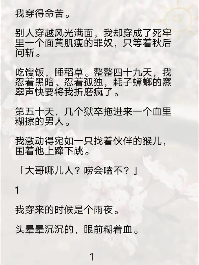 抖音发小说视频攻略：选段、制作、互动，涨粉不是梦