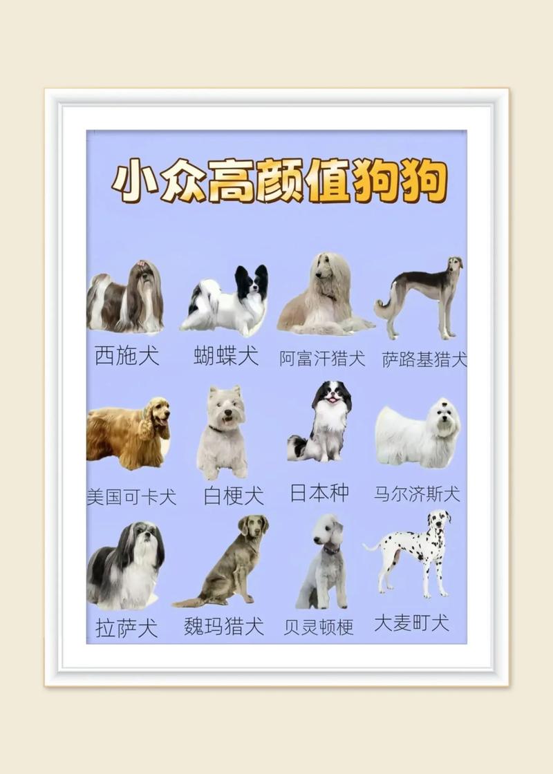 抖音上容易火的视频类型_哪些抖音视频类型容易火_抖音