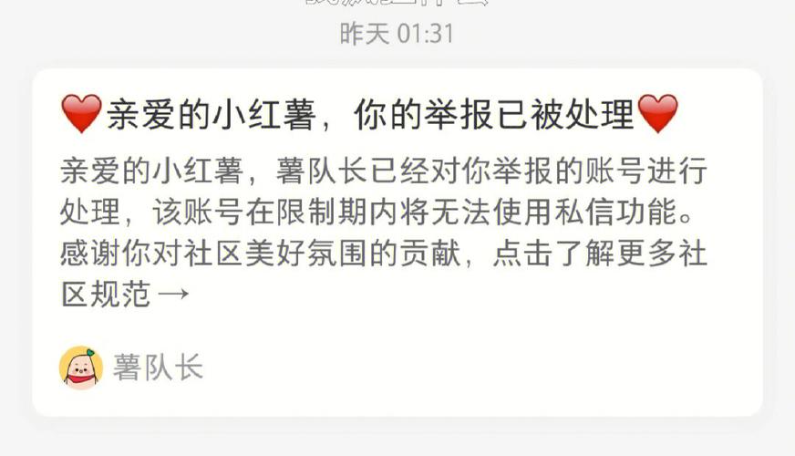 小红书违规行为举报流程_小红书_小红书举报不当用户方法
