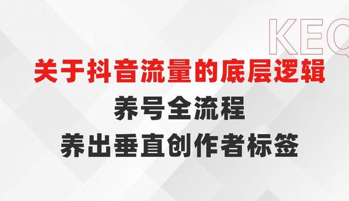 抖音养号快速涨粉秘诀，新手必看有效方法